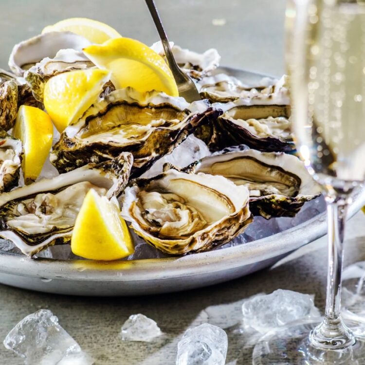 Oyster champ Large Oyster champ Large